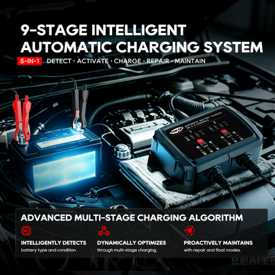 TOPDC 2-Bank 4A 6V/12V Battery Charger for Dual-Battery Care
